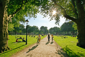 Queen's square on a sunny day