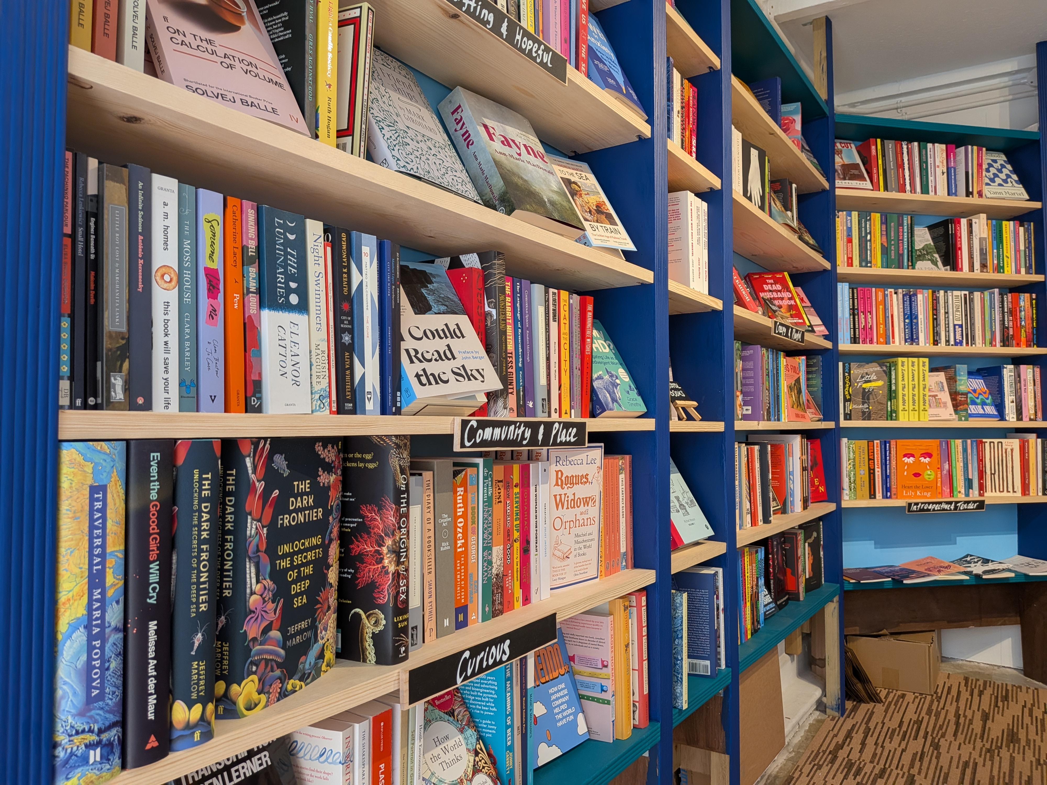 Bbookshelves stocked with a variety of colourful new books